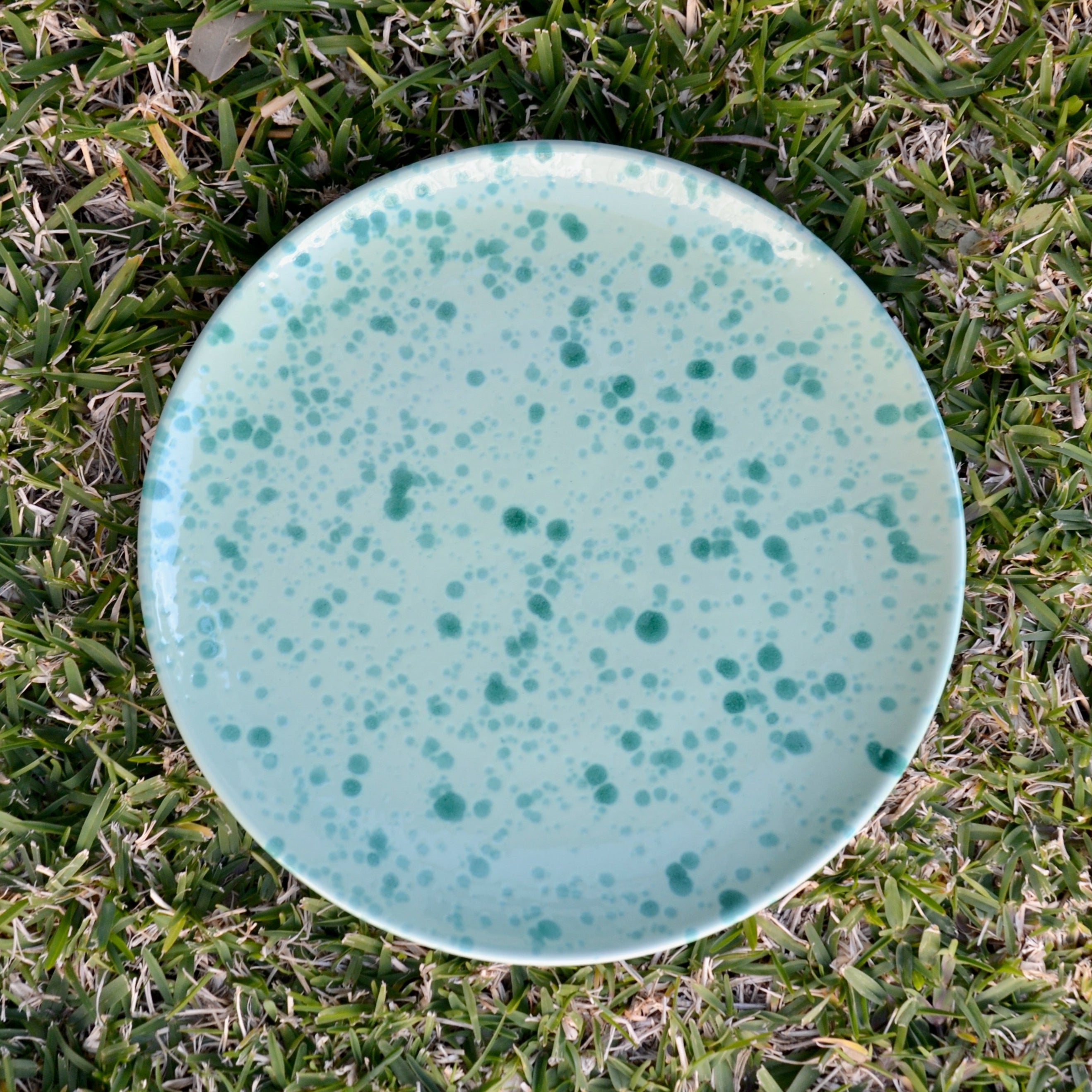 Speckled green ceramic plate on grass
