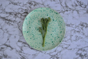 Matcha Main Dinner Plate