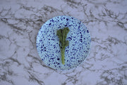 Oceano Main Dinner Plate