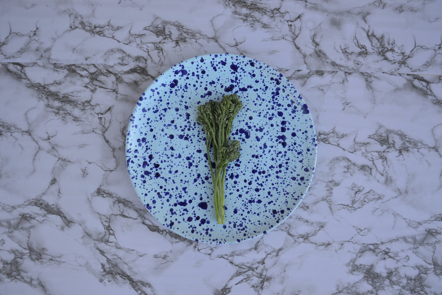 Oceano Main Dinner Plate