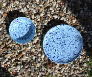 Oceano Main Dinner Plate